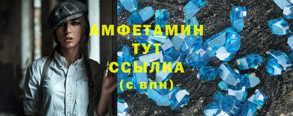 крисы Новозыбков