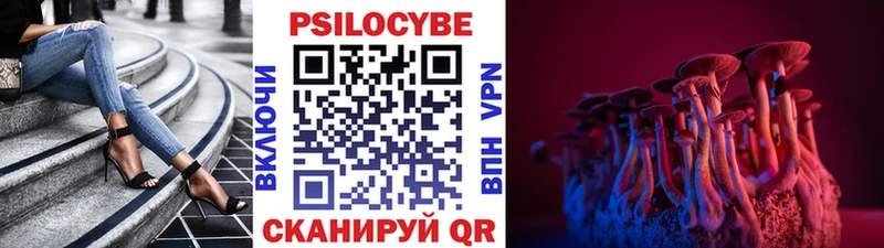 Галлюциногенные грибы Psilocybine cubensis Сызрань