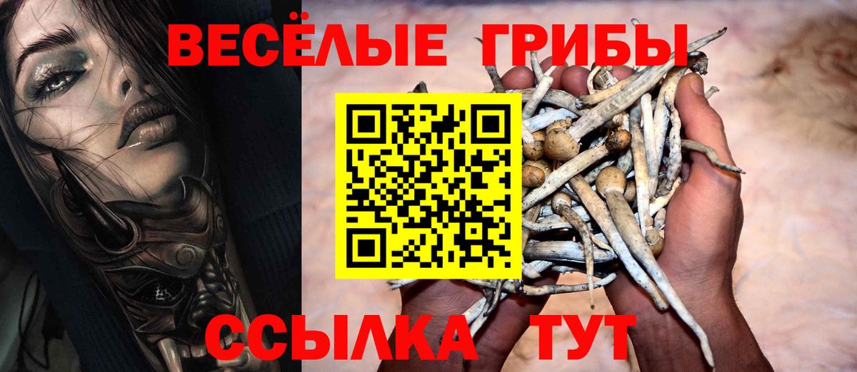 Псилоцибиновые грибы мицелий Сызрань
