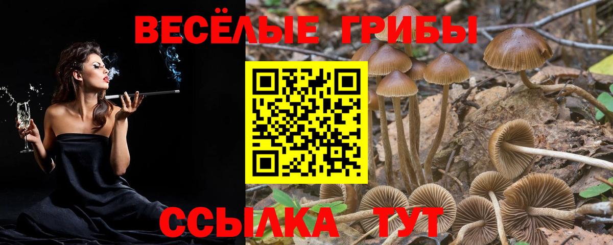 Сызрань  Псилоцибиновые грибы мухоморы  Вход с VPN 