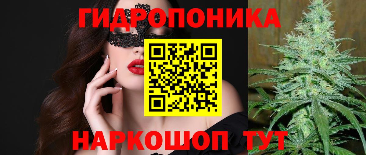 Канабис конопля  Канабис план  Вход с VPN  Сызрань  Марихуана Ganja 